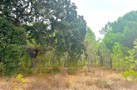 property gallery 7
