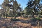 property gallery 7