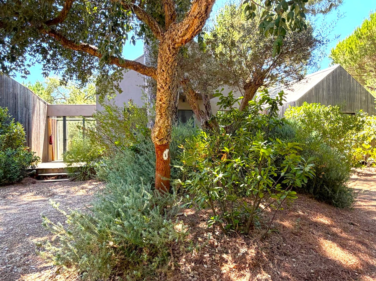 gallery image 15