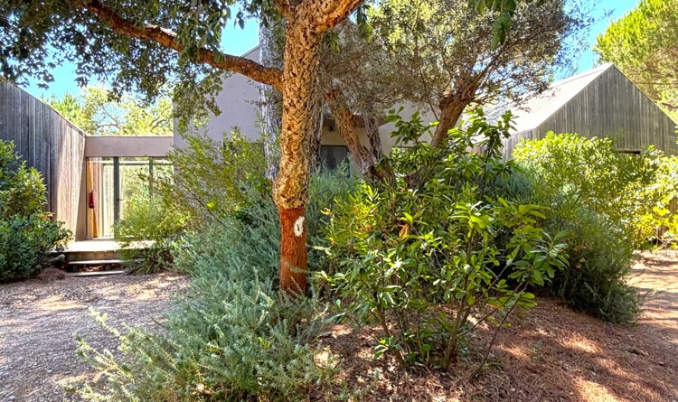 property gallery 15