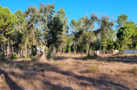 property gallery 6