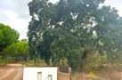 property gallery 4
