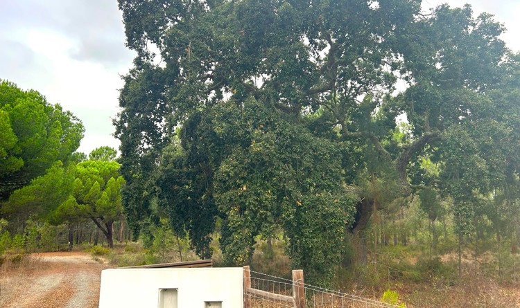 property gallery 4