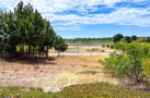 property gallery 13