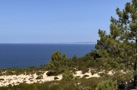 property gallery 10
