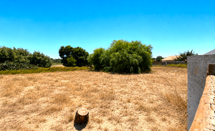 property gallery 2