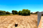 property gallery 2