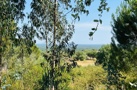 property gallery 5
