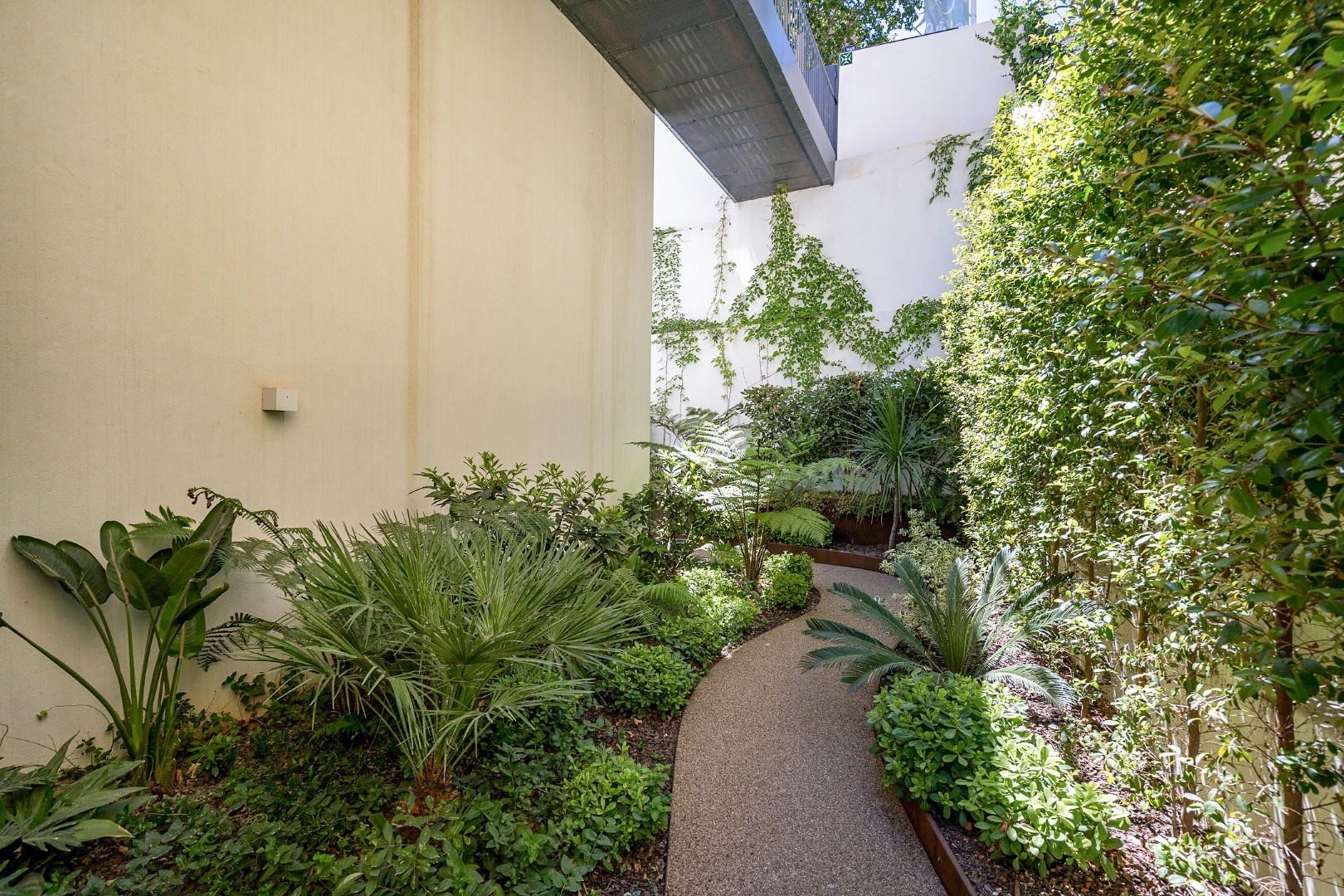 gallery image 11