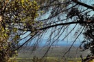 property gallery 10