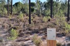 property gallery 10
