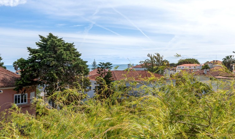property gallery 2