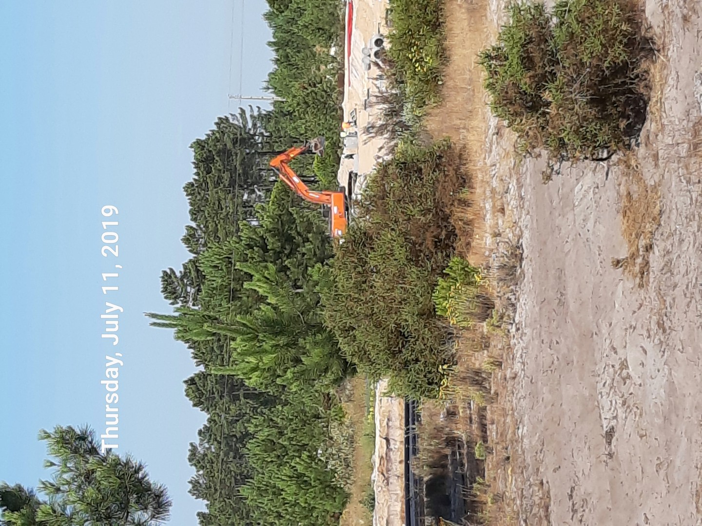 gallery image 13