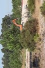 property gallery 13