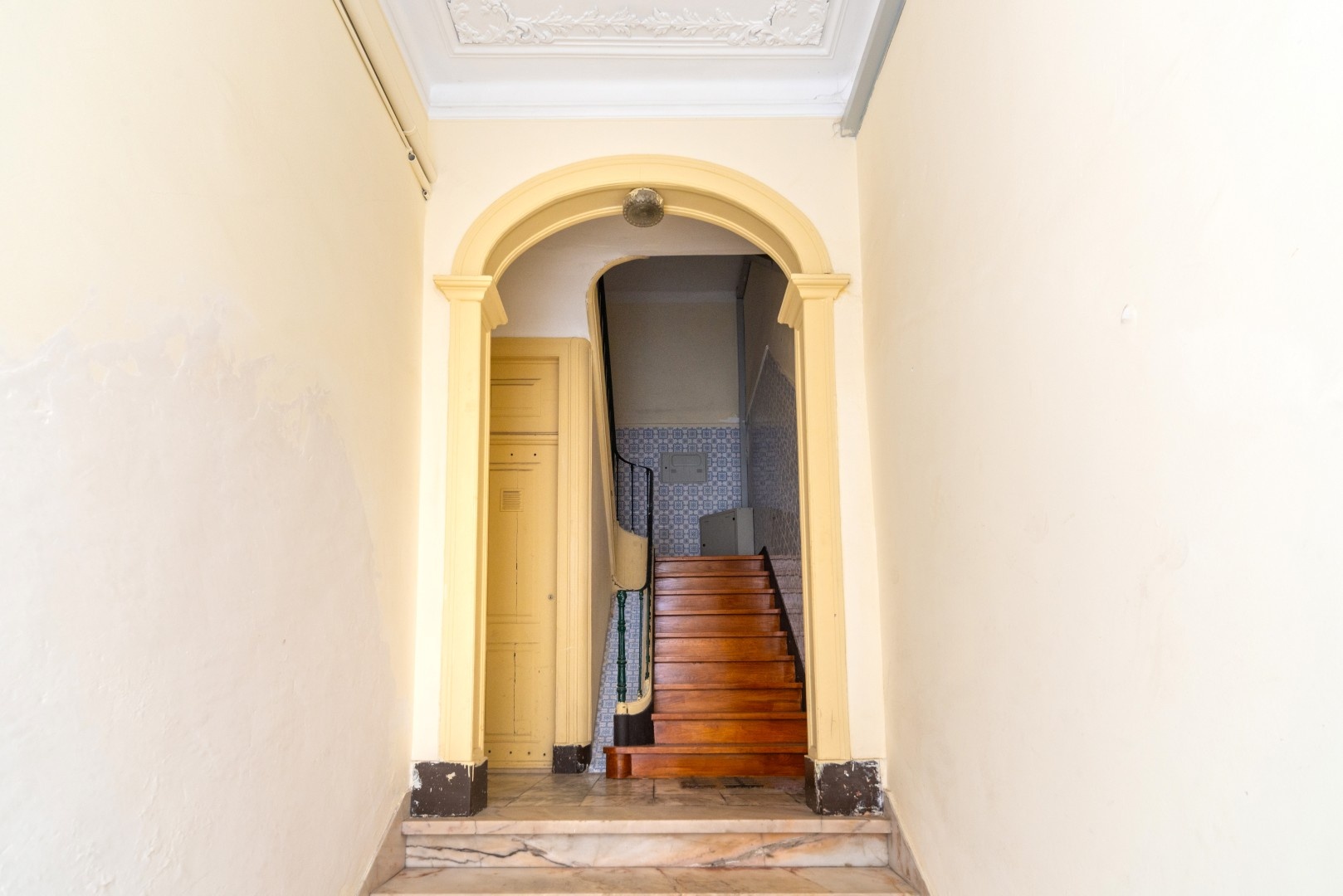 gallery image 14