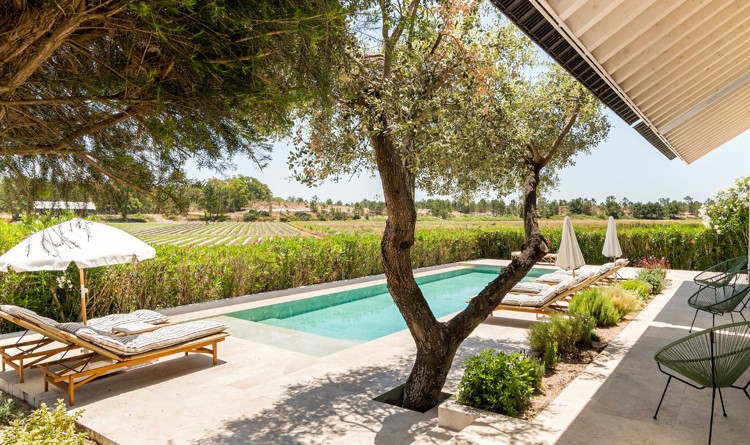 property gallery 31