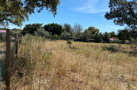 property gallery 8