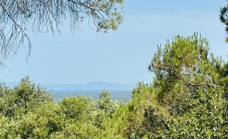 property gallery 1