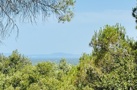 property gallery 1