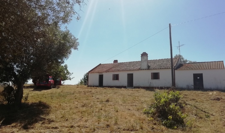 property gallery 1