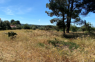 property gallery 10