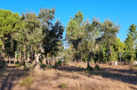 property gallery 2