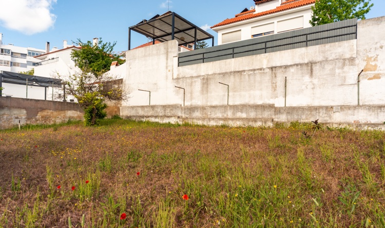 property gallery 11