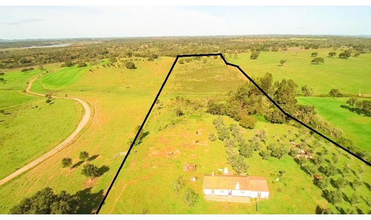 property gallery 16