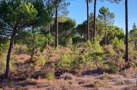 property gallery 2