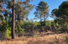property gallery 9
