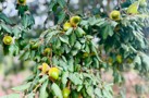 property gallery 2