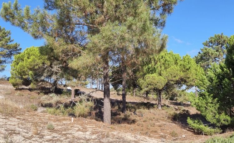 property gallery 1