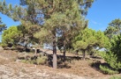 property gallery 1