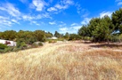 property gallery 12