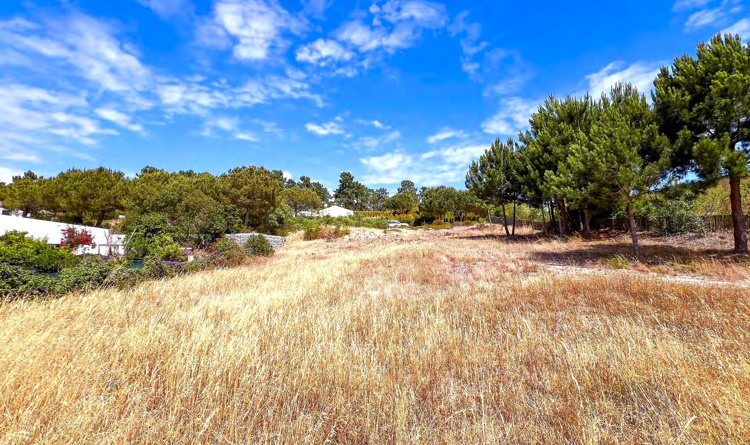 property gallery 12
