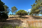 property gallery 3