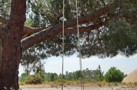 property gallery 11