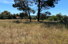 property gallery 9