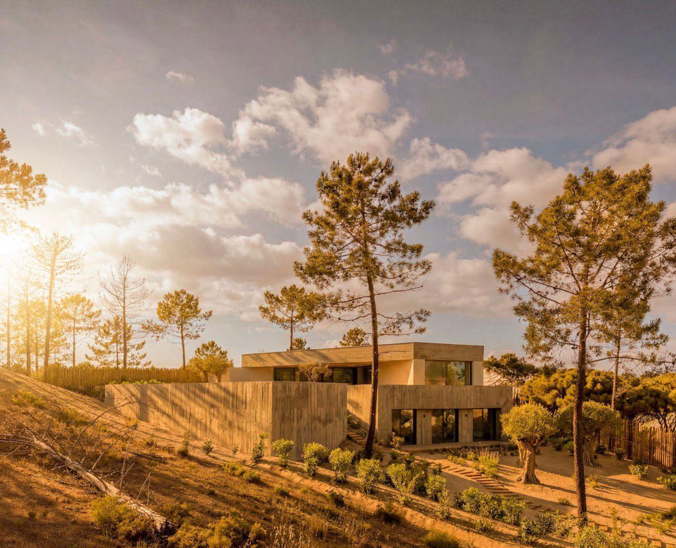gallery image 32