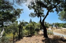 property gallery 6