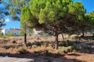 property gallery 2