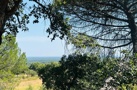 property gallery 4