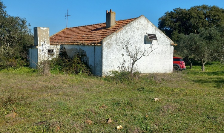 property gallery 10