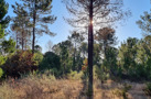property gallery 8