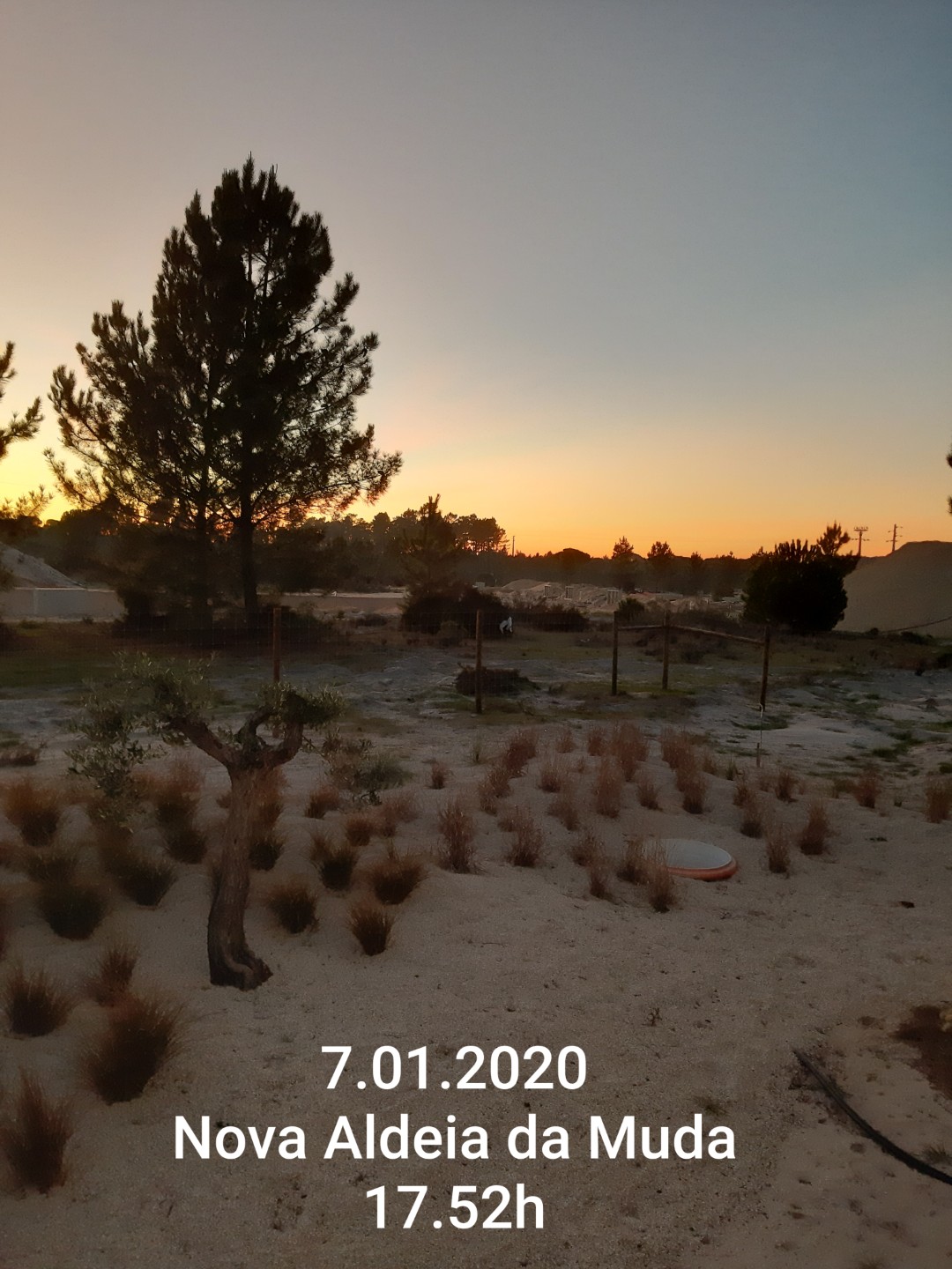 gallery image 12