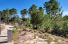 property gallery 1