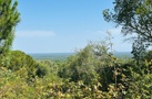 property gallery 2