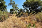 property gallery 7
