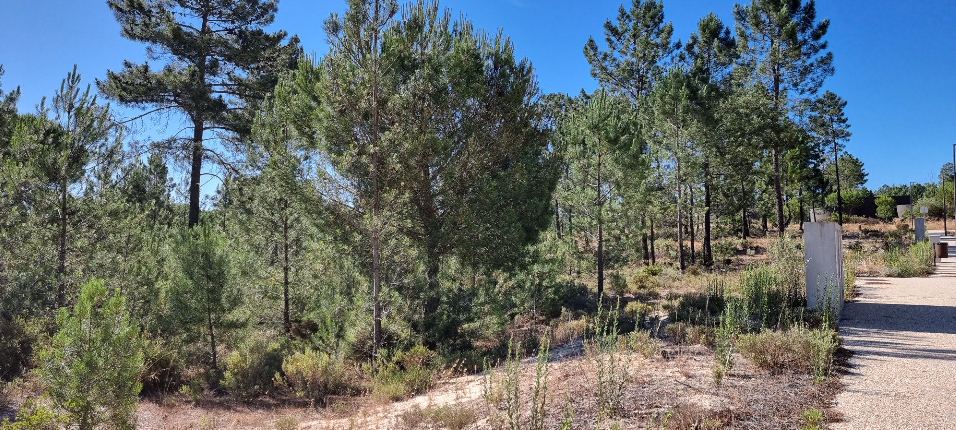 gallery image 18