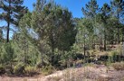 property gallery 18